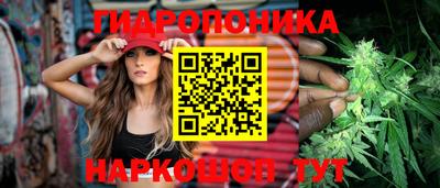 прущие крисы Усть-Джегута