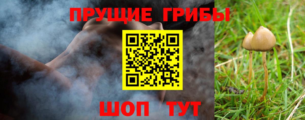 Псилоцибиновые грибы ЛСД  Вход с VPN  Белогорск  Псилоцибиновые грибы GOLDEN TEACHER 